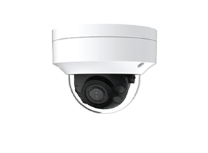 Eagle Eye DD09 Vandal Dome Camera