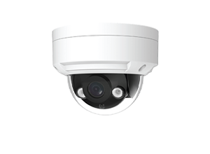Eagle Eye DD10  Vandal-Resistant Dome Camera